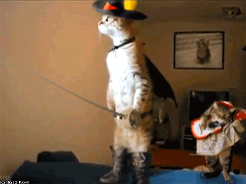 funny-gif-Puss-in-Boots-cat.gif