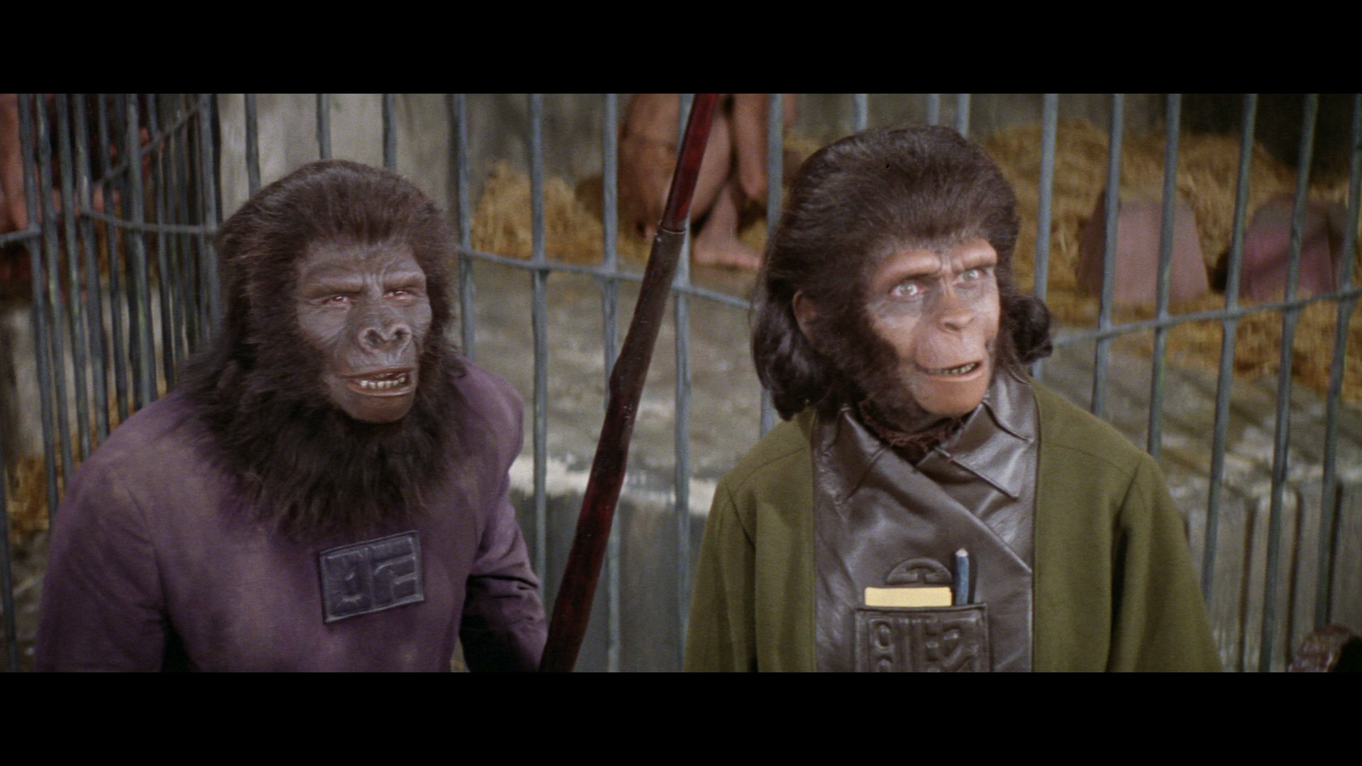 large%20planet%20of%20the%20apes%20blu-ray5.jpg