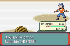 058 - Defeated Brawly.png