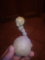 IMG_20160923_215032.jpg