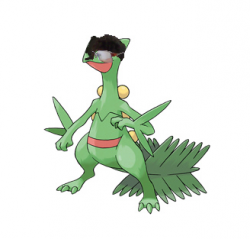 Daniel's Sceptile.png