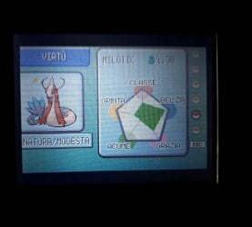 Milotic Smeraldo 21-09-24.jpg