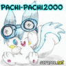 Pachi-pachi2000