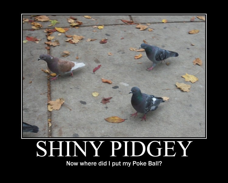 shiny_pidgey_by_elpikminmaster-d3iaor4.jpg