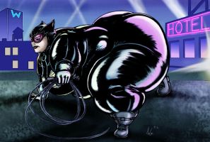 fat_catwoman_by_ray_norr-d4zommm.jpg