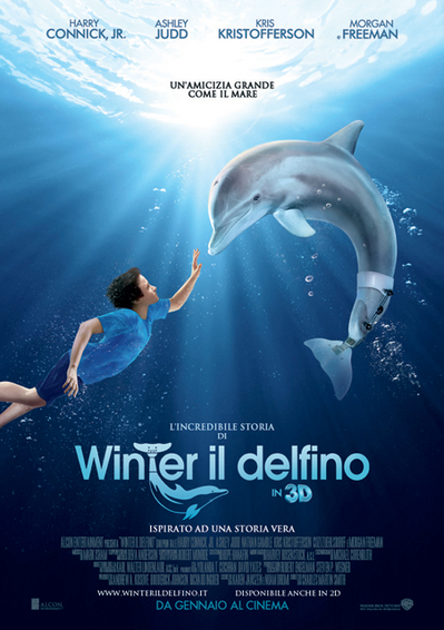 winter%20delfino.jpg