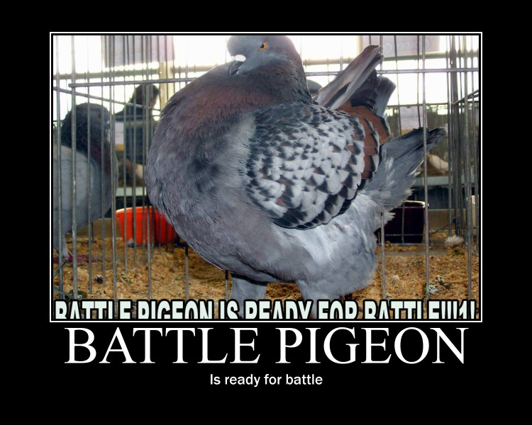 battle_pigeon_by_ink_tail-d345zac.jpg