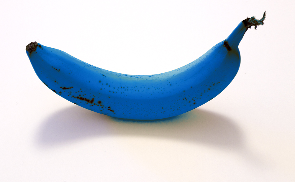 Blue_Banana_by_pocketcanoe.jpg