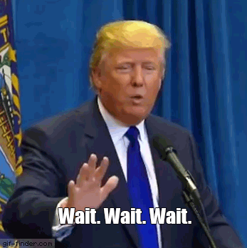 Donald-Trump-Wait.gif