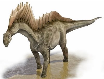 Amargasaurus.jpg