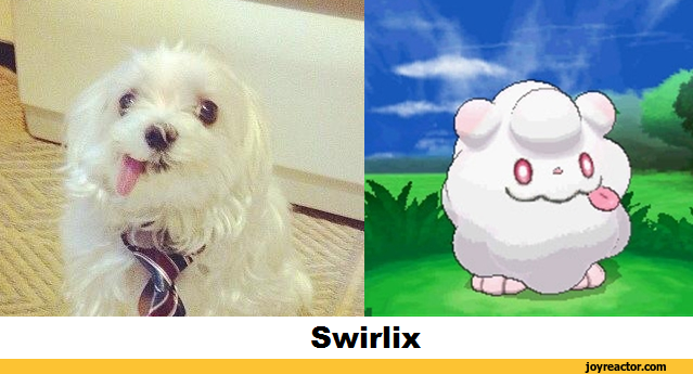 swirlix-Pokemon-anime-comparison-959009.png