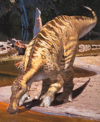 Anatotitan1145400606.jpg