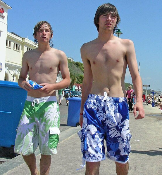 554px-Beach_boys_summer_time_2009.jpg